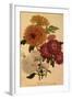 Chrysanthemums-null-Framed Giclee Print