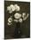 Chrysanthemums-Henri Fantin-Latour-Mounted Giclee Print
