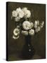 Chrysanthemums-Henri Fantin-Latour-Stretched Canvas