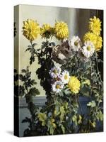 Chrysanthemums-Harald Martin Hansen Holm-Stretched Canvas