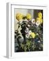 Chrysanthemums-Harald Martin Hansen Holm-Framed Giclee Print