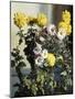Chrysanthemums-Harald Martin Hansen Holm-Mounted Giclee Print