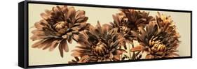 Chrysanthemums-Heidi Westum-Framed Stretched Canvas