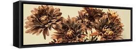 Chrysanthemums-Heidi Westum-Framed Stretched Canvas