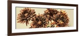 Chrysanthemums-Heidi Westum-Framed Photographic Print