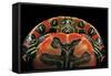 Chrysemys Picta Bellii (Painted Turtle)-Paul Starosta-Framed Stretched Canvas