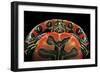 Chrysemys Picta Bellii (Painted Turtle)-Paul Starosta-Framed Photographic Print