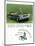 Chrysler 1966 Dodge Coronet-null-Mounted Art Print