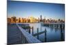 Chrysler and Un Buildings and Midtown Manhattan Skyline from Queens, New York City, New York, USA-Jon Arnold-Mounted Photographic Print
