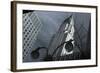 Chrysler Building Reflection-null-Framed Photo