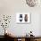 Chrysochroa Castelnaudi Castelnaudi from Malaysia-Darrell Gulin-Stretched Canvas displayed on a wall