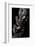 Chrysolina Americana (Rosemary Beetle)-Paul Starosta-Framed Photographic Print