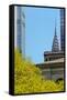 Chrystler Building from Bryant Park-null-Framed Stretched Canvas