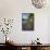 Chub (Leuciscus Cephalus) in Shallows of Morske Oko Lake, Western Carpathians, Slovakia, Europe-Wothe-Framed Stretched Canvas displayed on a wall