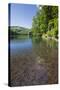 Chub (Leuciscus Cephalus) in Shallows of Morske Oko Lake, Western Carpathians, Slovakia, Europe-Wothe-Stretched Canvas