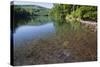 Chub (Leuciscus Cephalus) in Shallows of Morske Oko Lake, Western Carpathians, Slovakia, Europe-Wothe-Stretched Canvas