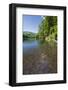 Chub (Leuciscus Cephalus) in Shallows of Morske Oko Lake, Western Carpathians, Slovakia, Europe-Wothe-Framed Photographic Print