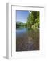 Chub (Leuciscus Cephalus) in Shallows of Morske Oko Lake, Western Carpathians, Slovakia, Europe-Wothe-Framed Photographic Print