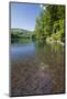 Chub (Leuciscus Cephalus) in Shallows of Morske Oko Lake, Western Carpathians, Slovakia, Europe-Wothe-Mounted Photographic Print