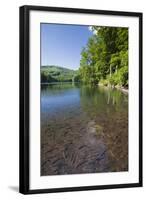 Chub (Leuciscus Cephalus) in Shallows of Morske Oko Lake, Western Carpathians, Slovakia, Europe-Wothe-Framed Photographic Print