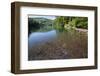 Chub (Leuciscus Cephalus) in Shallows of Morske Oko Lake, Western Carpathians, Slovakia, Europe-Wothe-Framed Photographic Print