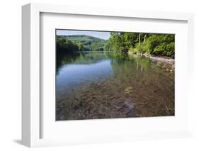 Chub (Leuciscus Cephalus) in Shallows of Morske Oko Lake, Western Carpathians, Slovakia, Europe-Wothe-Framed Photographic Print