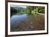 Chub (Leuciscus Cephalus) in Shallows of Morske Oko Lake, Western Carpathians, Slovakia, Europe-Wothe-Framed Photographic Print