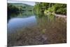 Chub (Leuciscus Cephalus) in Shallows of Morske Oko Lake, Western Carpathians, Slovakia, Europe-Wothe-Mounted Photographic Print