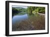 Chub (Leuciscus Cephalus) in Shallows of Morske Oko Lake, Western Carpathians, Slovakia, Europe-Wothe-Framed Photographic Print