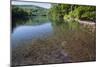 Chub (Leuciscus Cephalus) in Shallows of Morske Oko Lake, Western Carpathians, Slovakia, Europe-Wothe-Mounted Photographic Print