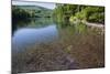 Chub (Leuciscus Cephalus) in Shallows of Morske Oko Lake, Western Carpathians, Slovakia, Europe-Wothe-Mounted Photographic Print