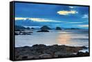 Canvas Black