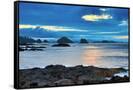 Canvas Black