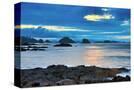 Stretched Canvas