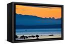 Canvas Black