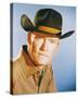 Chuck Connors-null-Stretched Canvas