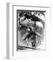 Chuck Connors-null-Framed Photo