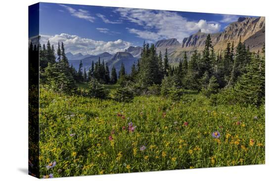 Stretched Canvas Print, , large