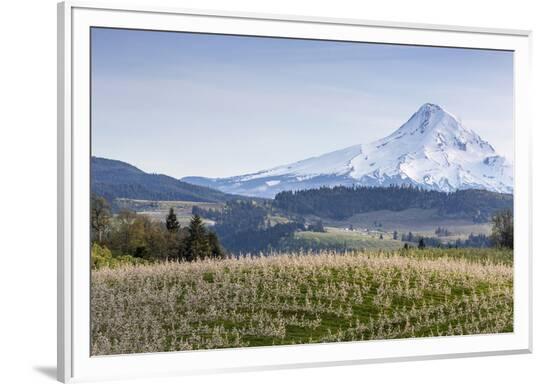 Framed Photographic Print, , large