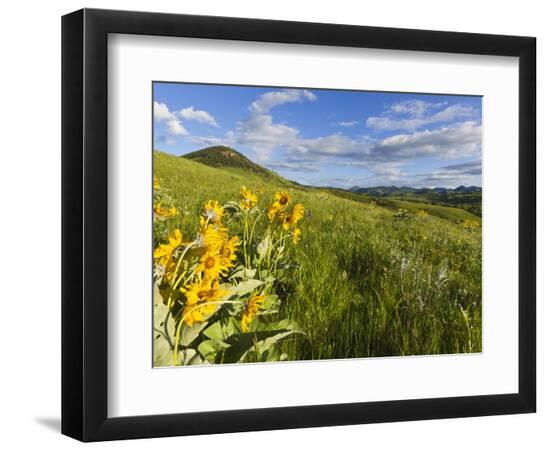 Photographic Print, , large