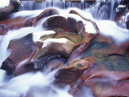 Premium Photographic Print, , large