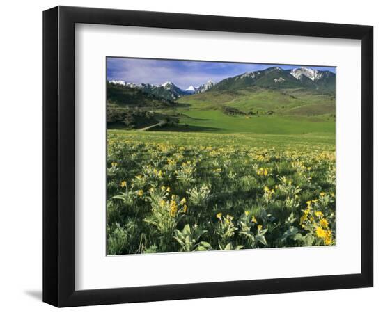Premium Photographic Print, , large