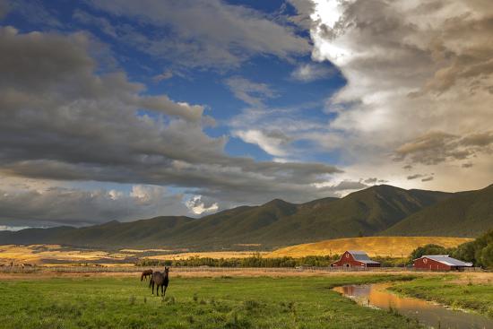 Premium Photographic Print, , large