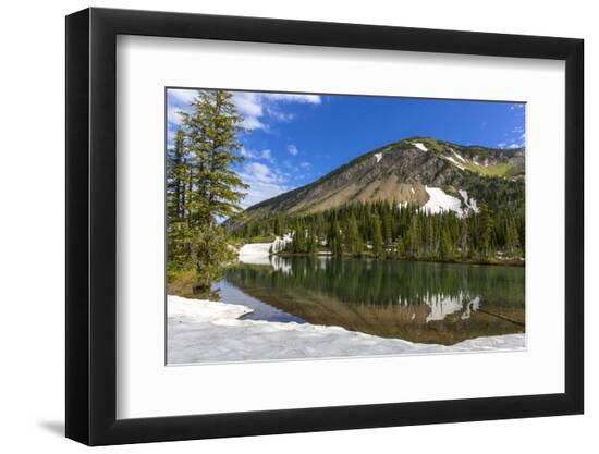Premium Photographic Print, , large
