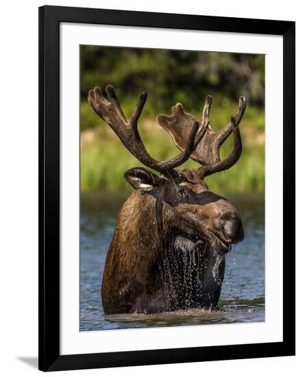 Photographic Print, , large