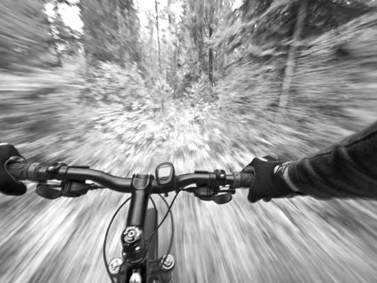 Premium Photographic Print, , large