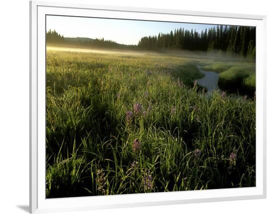 Framed Photographic Print, , large