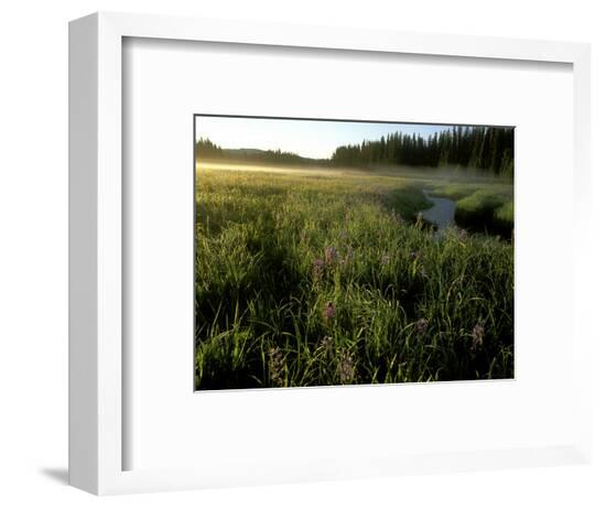 Framed Photographic Print, , large