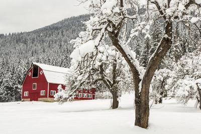 Fresh Snow on Red Barn Near Salmo, British Columbia, Canada
