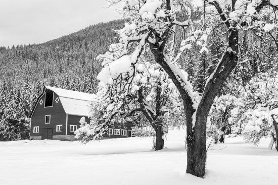 Premium Photographic Print, , large